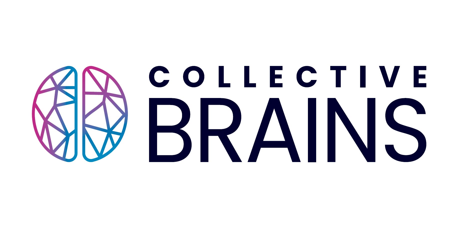 Collective Brains